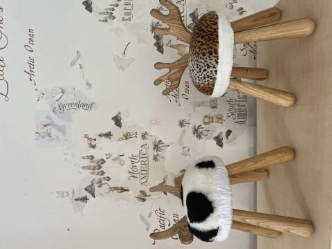 Ahşap Masa ve Geyik Sandalye (Son 1 Adet)